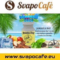 Aroma Easy Vape n.41 Jamaica Bay